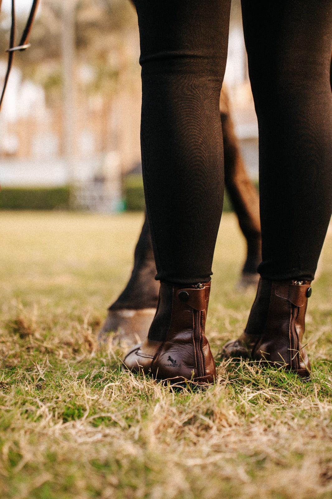 New Edition Short boots In Straps - Brown color