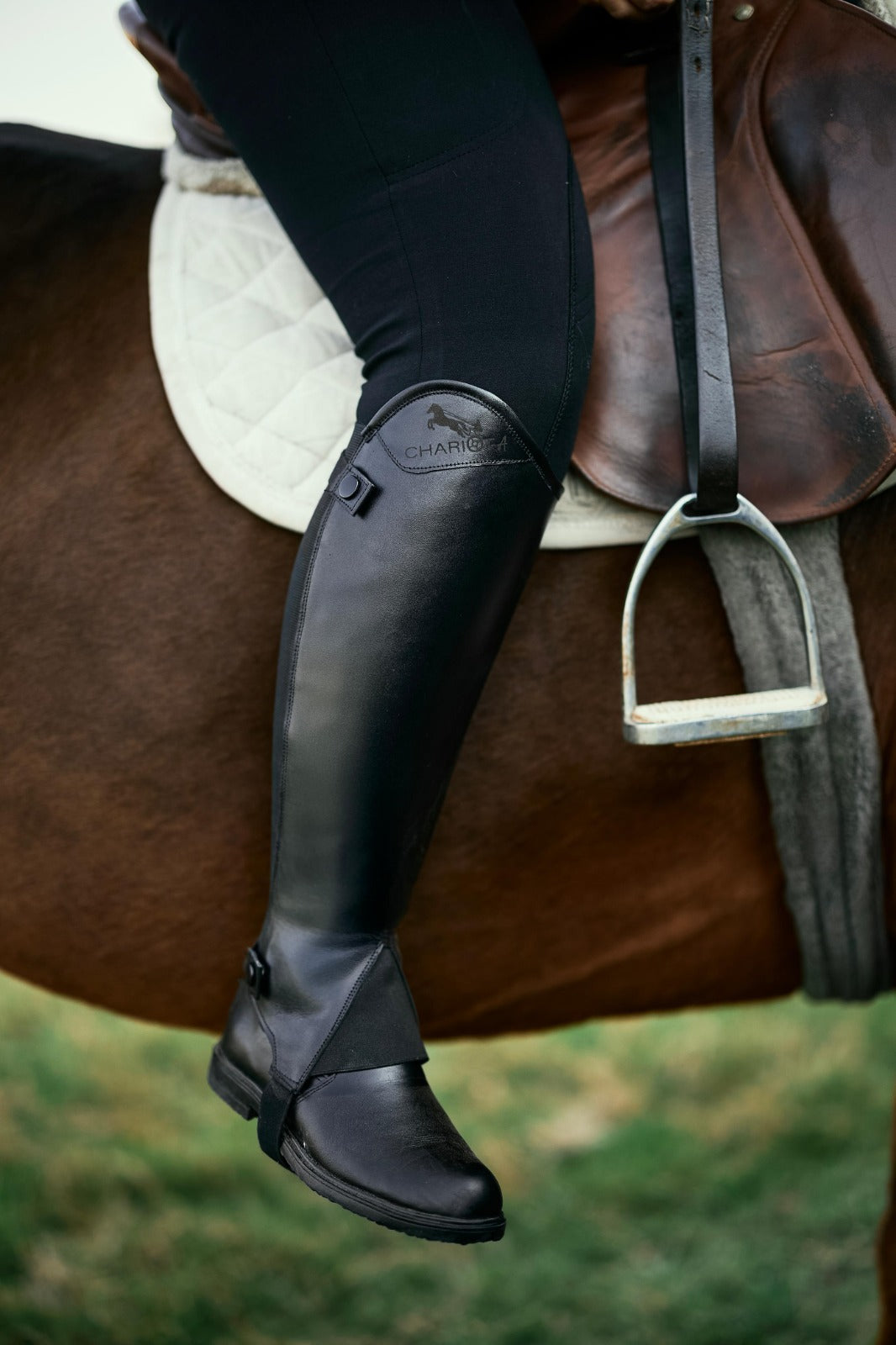 Half Chaps - Black color