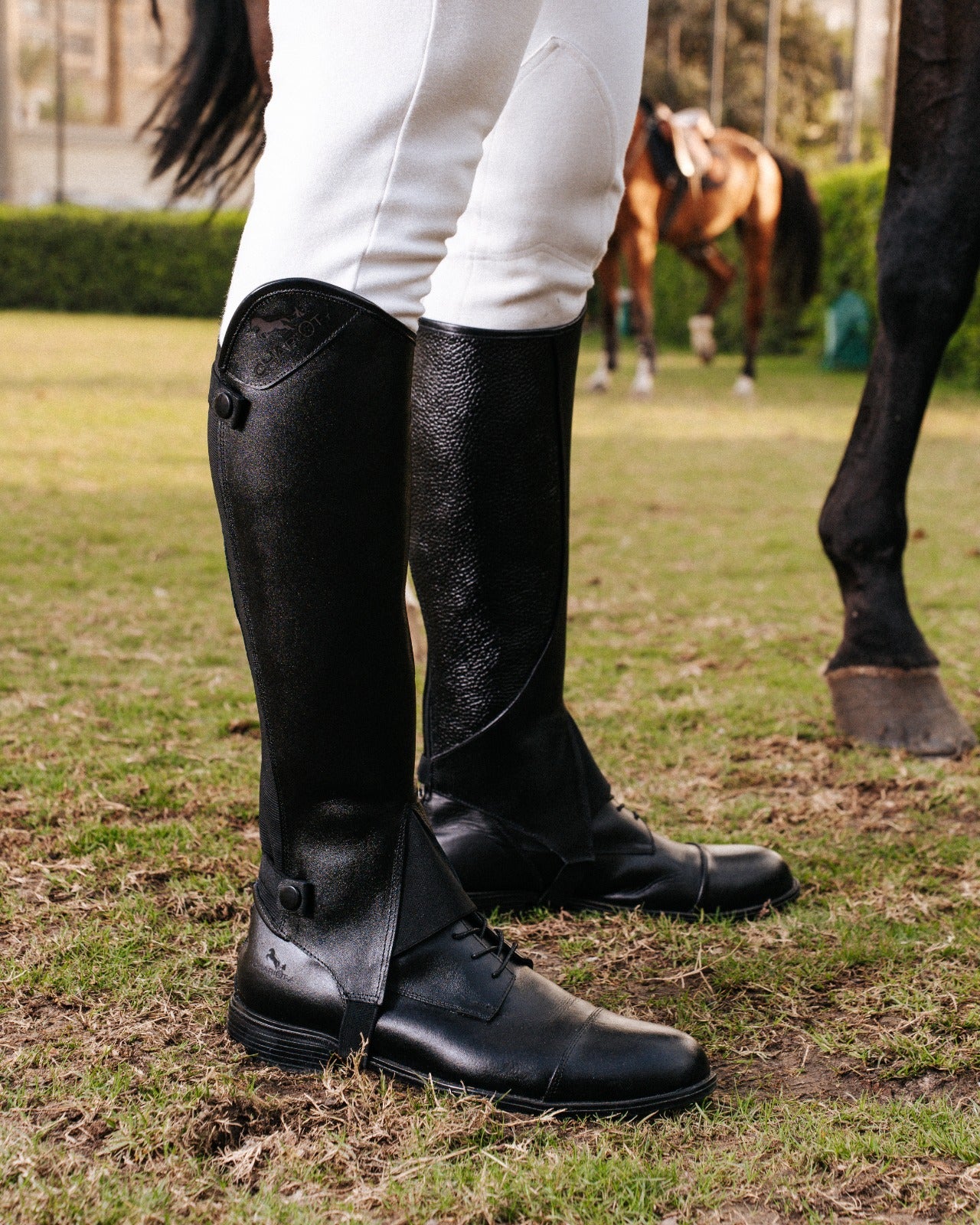 New Edition Short boots In Straps - Black color