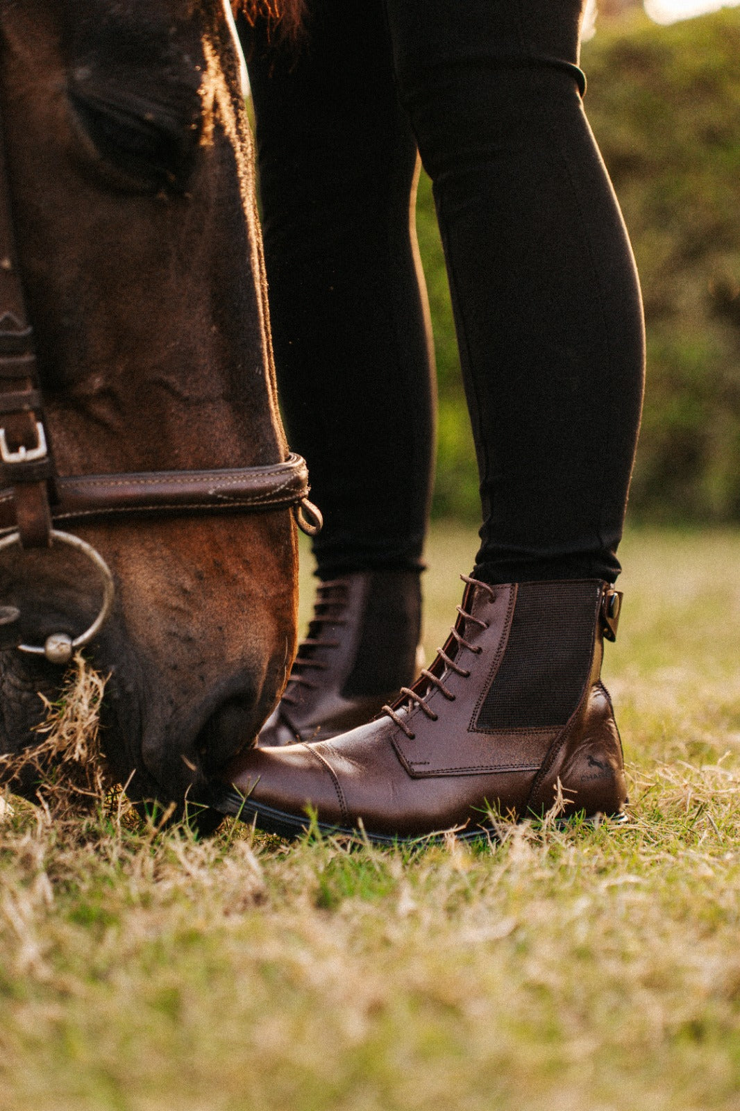 New Edition Short boots In Straps - Brown color