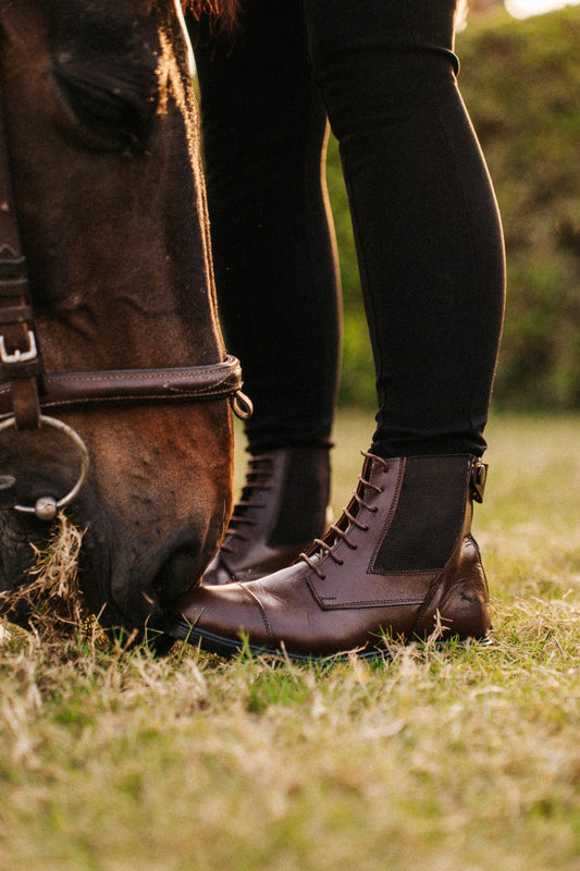 New Edition Short boots In Straps - Brown color