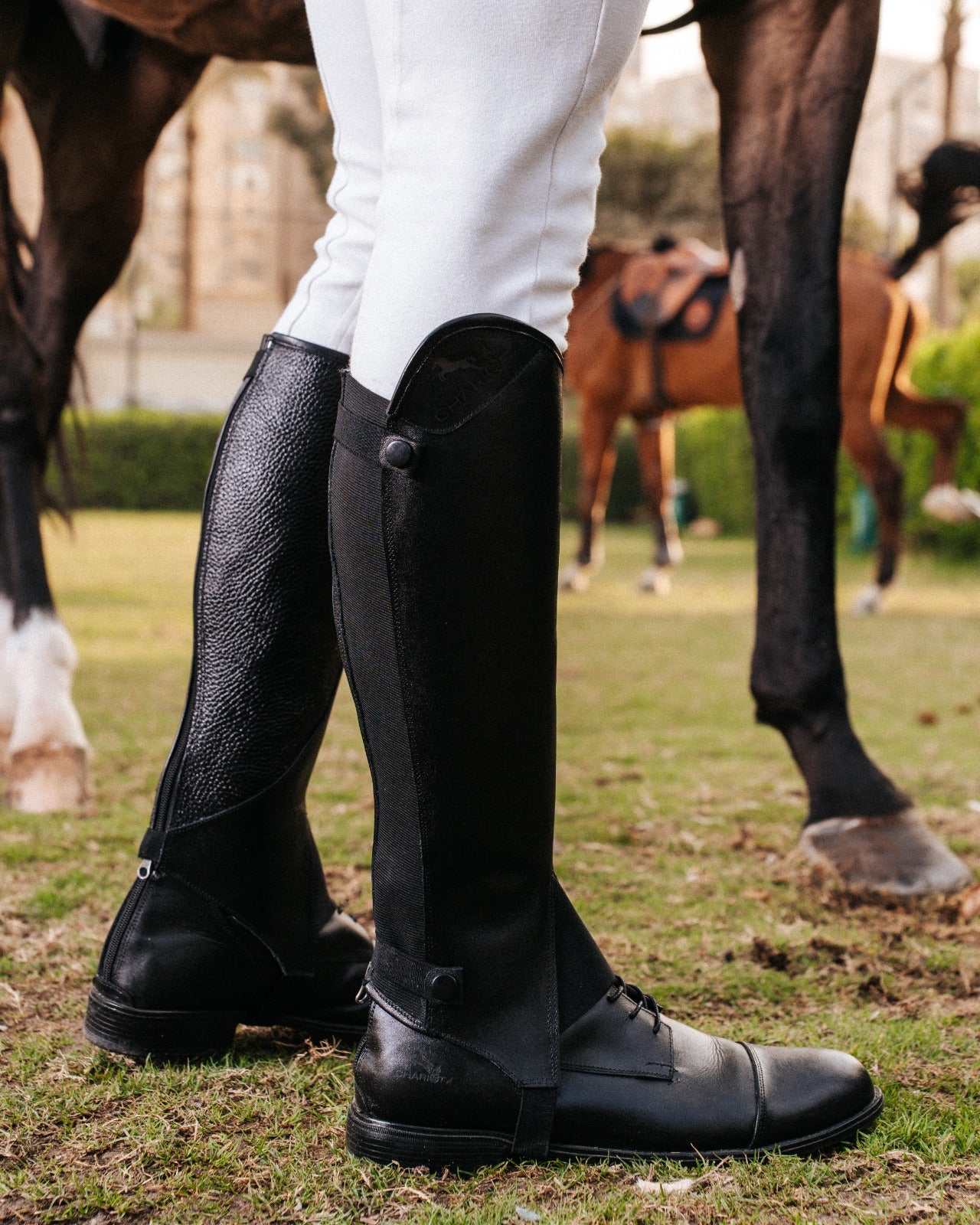 New Edition Short boots In Straps - Black color